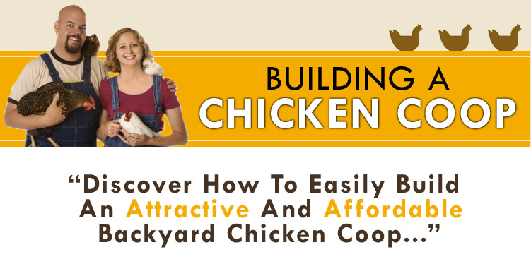Cheap Chicken Coop Plan Guide