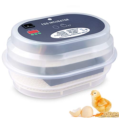 The 5 Best Automatic Egg Incubator 2020 - Chicken, Duck & Quail Hatching Reviews