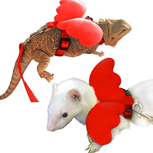 The 9 Best Bearded Dragon/ Crested Gecko Leashes & Harnesses 2020