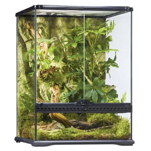 Best Crested Gecko Tank: Top Choice and Guide 2020