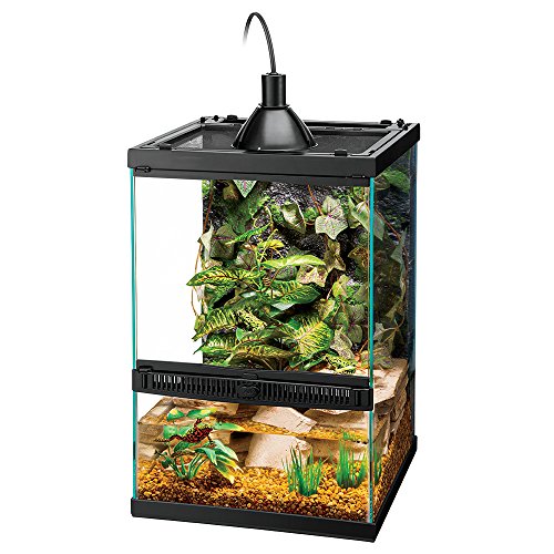 Best Crested Gecko Terrarium: Top Choices and Guide 2020