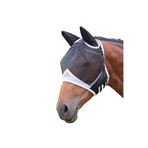 Best Fly Mask For Horses 2020: Do Horses Like To Wear Fly Masks?