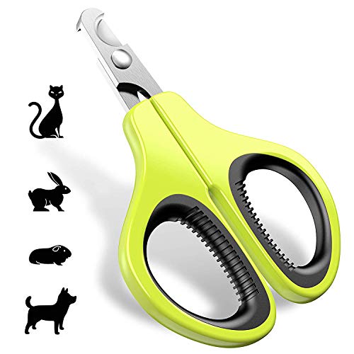 Top 10 Best Nail Clippers for Rabbits 2020: How to get the best nail clippers for rabbits?