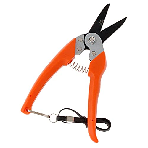 The 6 Best Hoof Trimmers for Sheep - Goat Hoof Trimmers (2020 Reviews)