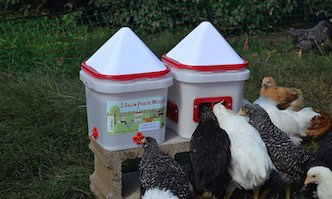 The 6 Best Chicken Waterer 2020 - Automatic and Heated for ...