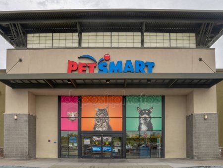 PetSmart near me: How much is grooming at petsmart ...
