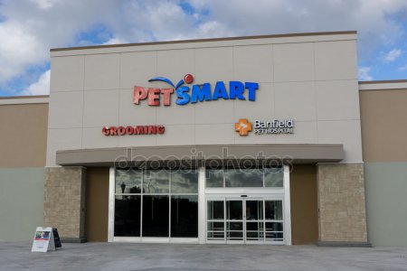 PetSmart near me: How much is grooming at petsmart ...