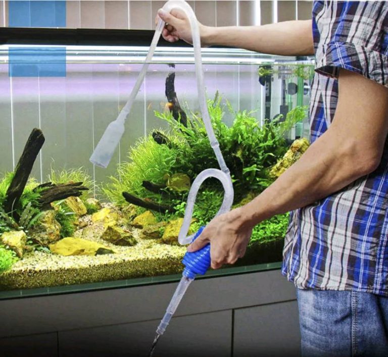 Best Aquarium Vacuum Review 2021 What Are The Common Types Of Aquarium