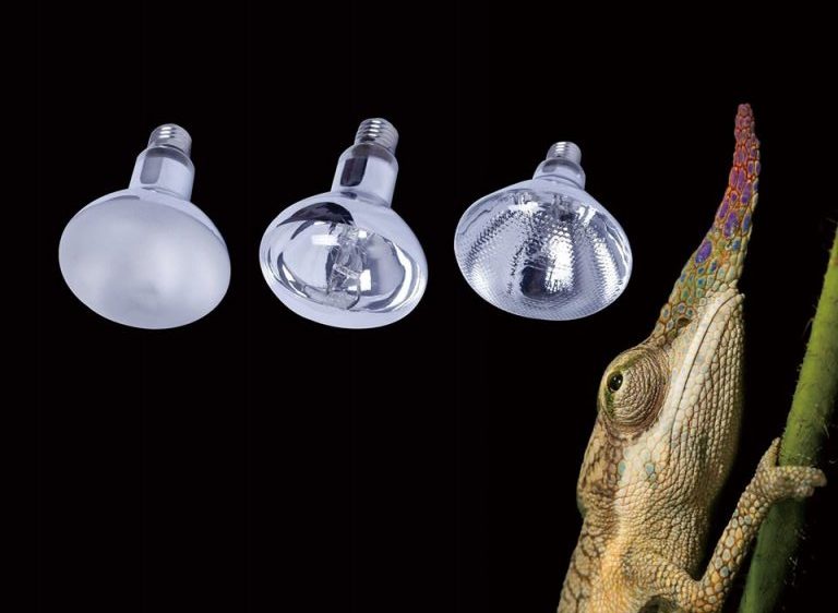 mercury vapor bulb for reptiles