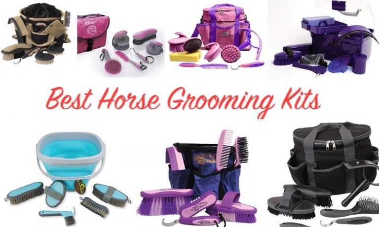 best grooming kit
