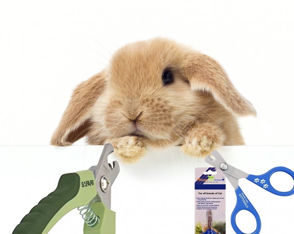 vet recommended nail clippers for dogs
