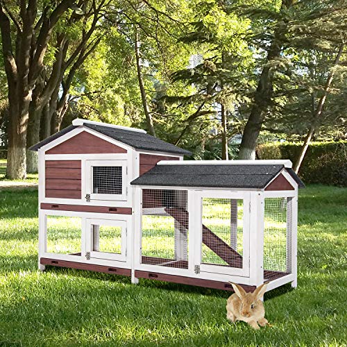 The 5 Best Backyard Chicken Coop 2020 - Large and Wooden Reviews