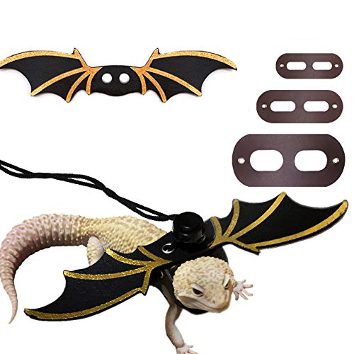 The 9 Best Bearded Dragon/ Crested Gecko Leashes & Harnesses 2020
