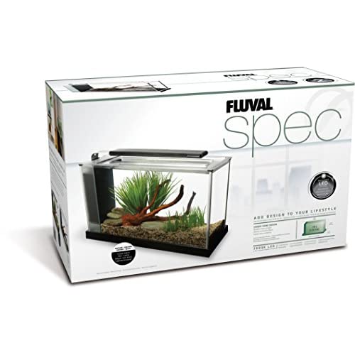 The 12 Best Betta Fish Tanks Reviews & Guide 2020