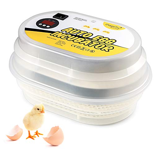 Best Chicken Egg Incubator Reviews 2020