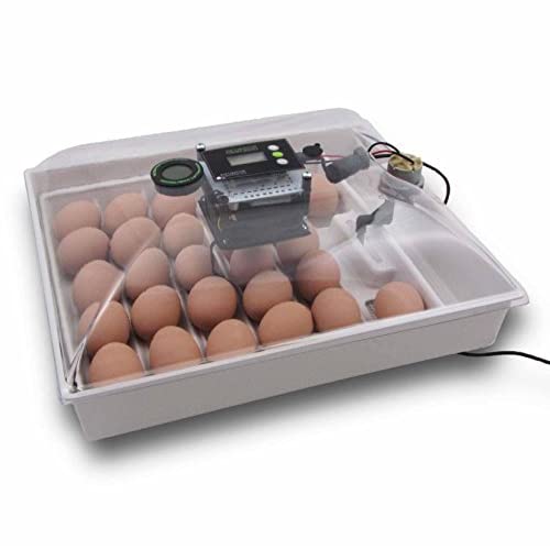 Best Chicken Egg Incubator for Sale 2020