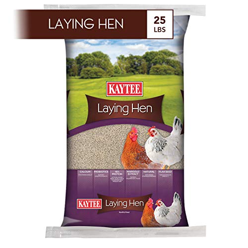 Best Chicken Feeds for Laying Chickens (2020 Reviews)