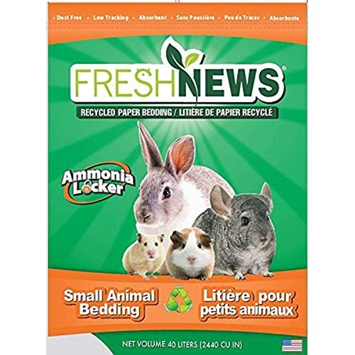 Top 15 Best Chinchilla Beddings 2020: How To Buy The Best Bedding For Chinchilla?