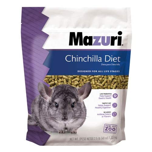 Top 15 Best Chinchilla Treats: What Are Good Treats for Chinchillas?