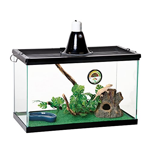 Best Crested Gecko Tank: Top Choice and Guide 2020