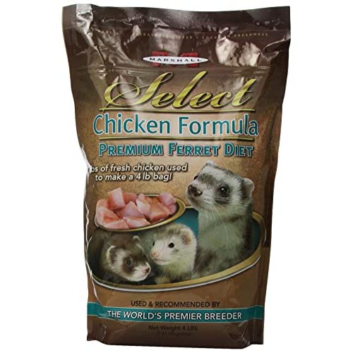 Best Diet For Ferrets Review 2020: How To Provide The Best Diet For Ferrets?
