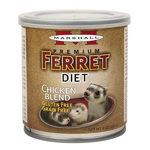 Best Diet For Ferrets Review 2020: How To Provide The Best Diet For Ferrets?