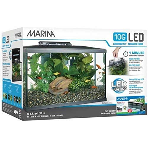 Best Fish Tanks for Beginners Review 2020: How To Pick A Starter Fish Tank?