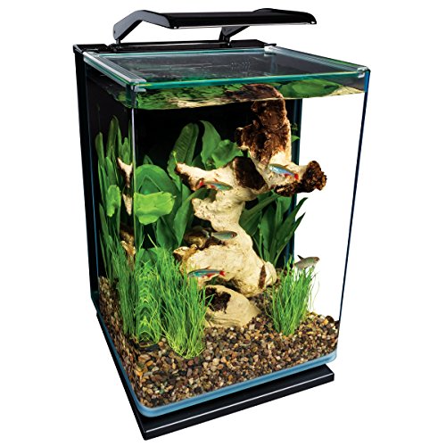 Best Fish Tanks for Beginners Review 2020: How To Pick A Starter Fish Tank?