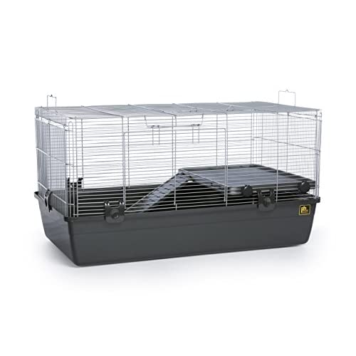 Best Guinea Pig Cages - The 10 Easy to Clean Guinea Pig Cage 2020