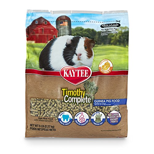 Best Guinea Pig Food Types 2020 (Top 5 Recommended)