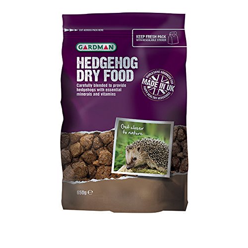 Top 15 Best Hedgehog Foods 2020: How To Feed Hedgehog Properly?