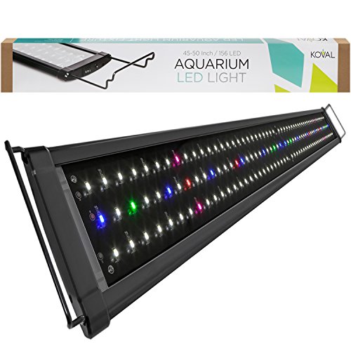 Best LED Aquarium Lighting For Plants & Here’s Why You Need It For Aquarium