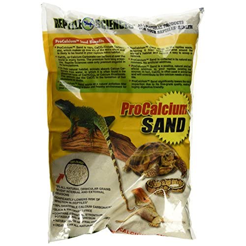Best Loose Substrate For Bearded Dragons 2020: Is It Good or Bad?