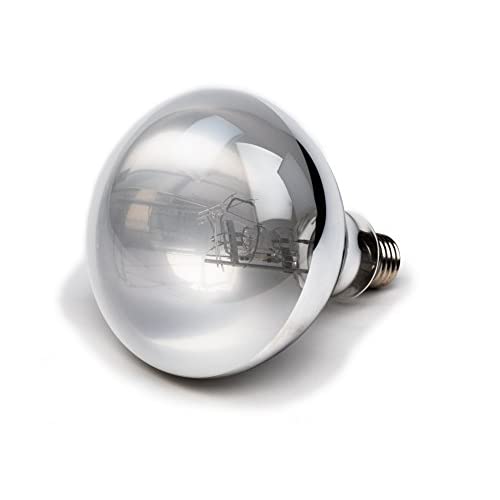 Best Mercury Vapor Bulb for Reptiles 2020: The Advantage Of This Bulb