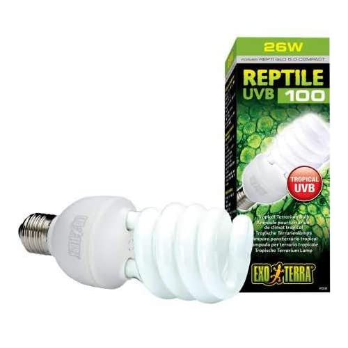 The 17 Best Reptile UVB Light Bulbs Reviews 2020