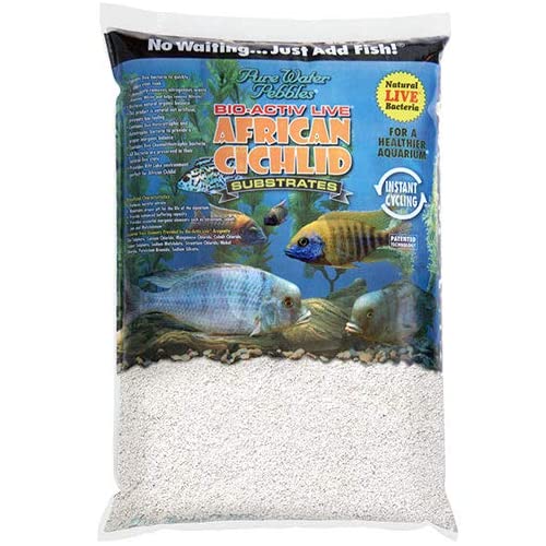 Best Substrate For Reef Tank 2020: How To Keep Your Substrate Clean In Reef Tank?