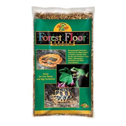 The 12 Best Substrates & Bedding for Bearded Dragons 2020