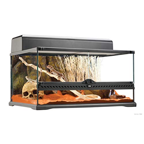 The 10 Best Tanks for Bearded Dragons Reviews 2020
