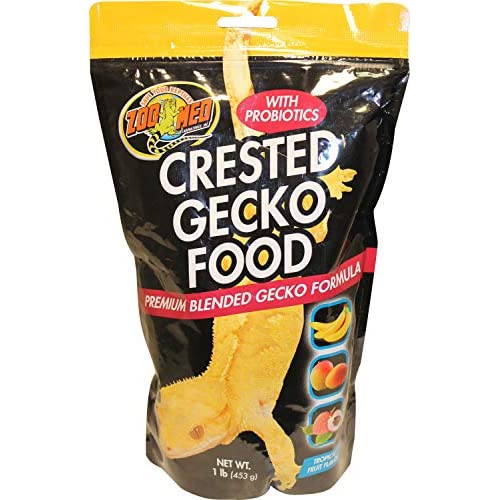What Do Crested Geckos Eat? The 12 Best Foods & Feeding Guide 2020