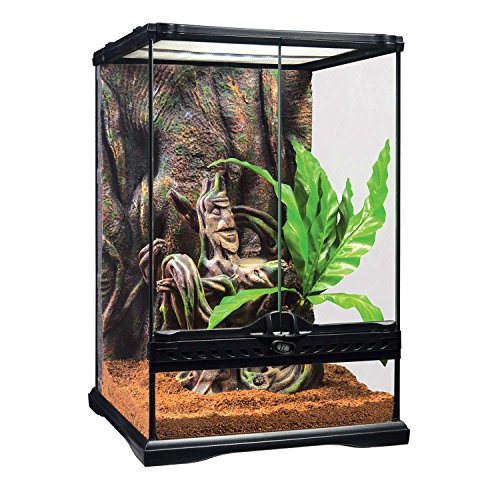 Setting up Crested Gecko Habitat: Best Choice Review 2020