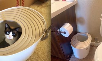 Litter Box for Large Cats